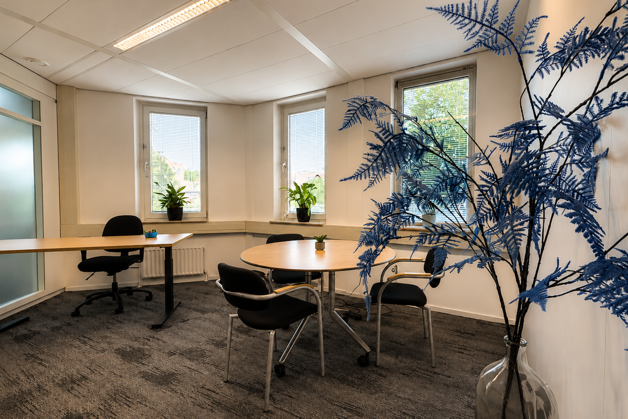 FOTO-BLAUW